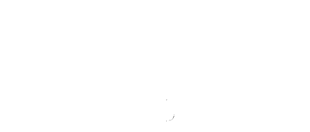 Anon Optics